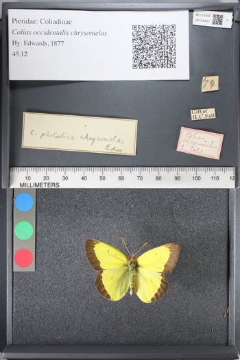Media type: image;   Entomology 124401